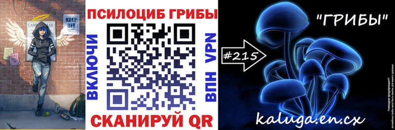 ОМГ ОМГ как войти  где продают   Рошаль  Псилоцибиновые грибы Magic Shrooms 